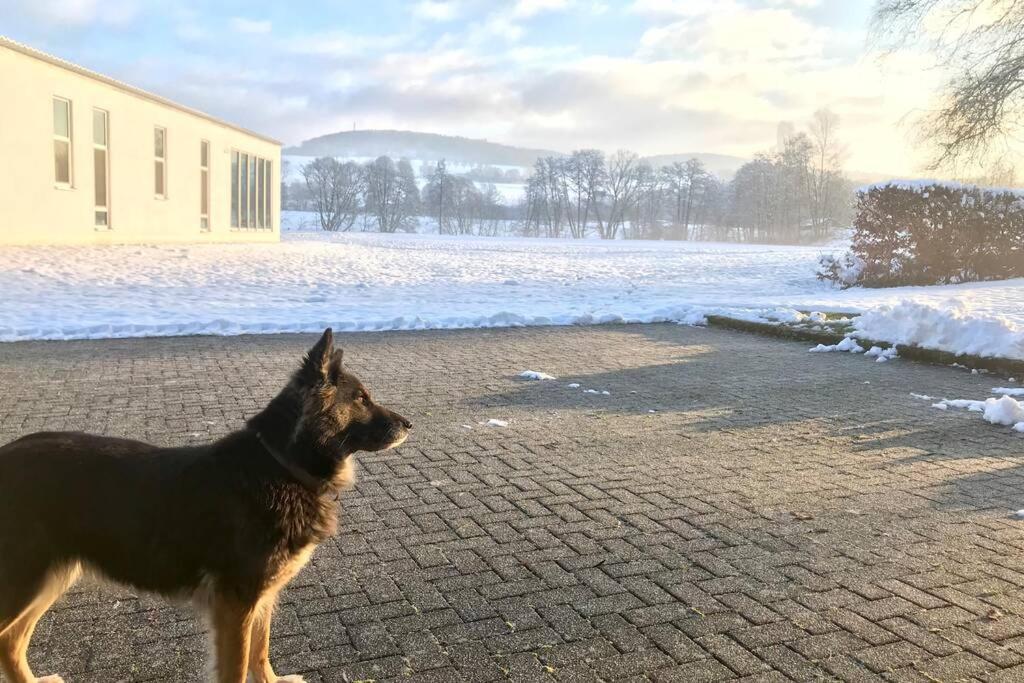 Ferienhaus Talblick Alpenrod Zewnętrze zdjęcie